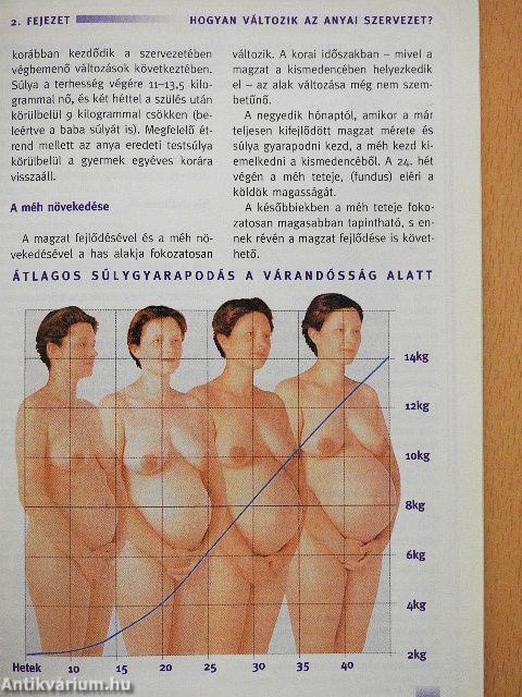 Várandós Mamák Könyve 2005/2006 ősz-tél