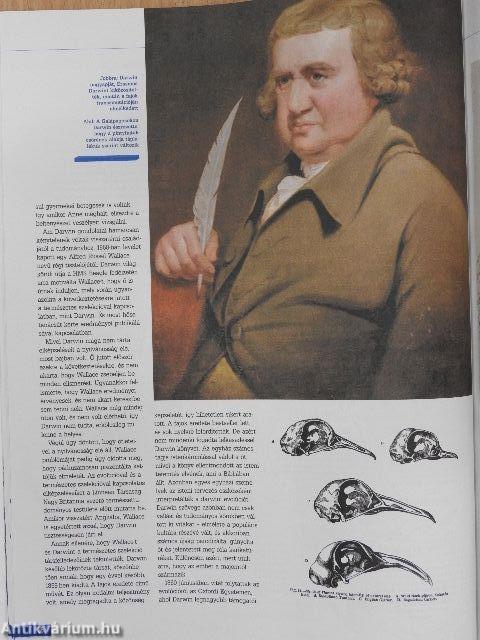 A legnagyobb úttörők