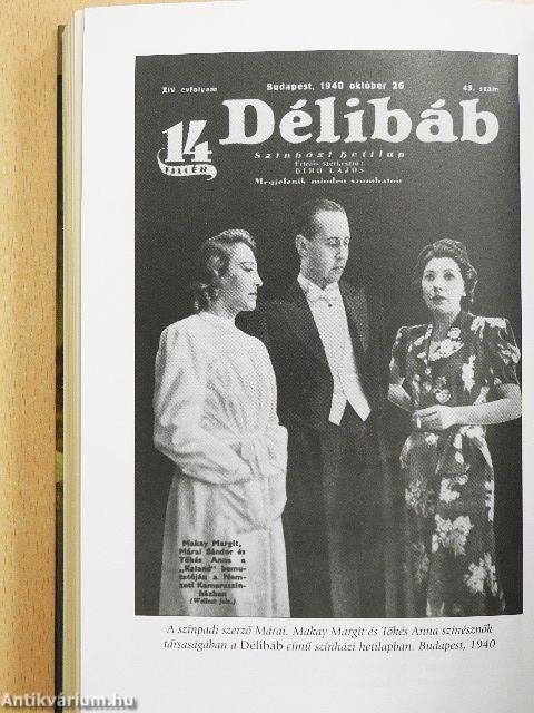 Író esőköpenyben