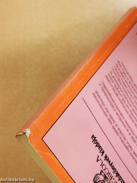 Kezdő háziasszonyok könyve