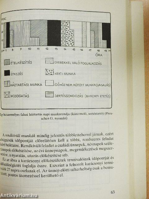 Kezdő háziasszonyok könyve