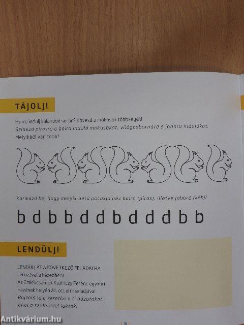 Anyanyelvi kalandpálya