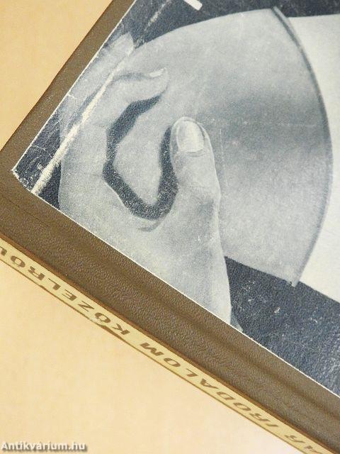 A magyar irodalom közelről