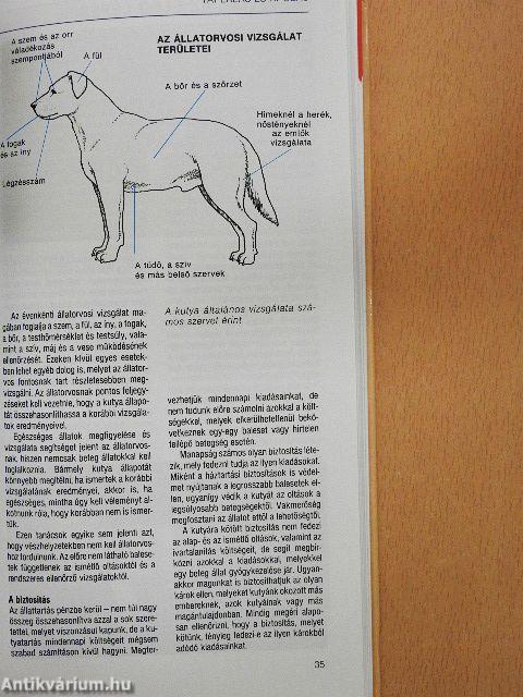 A kutya egészségkönyve