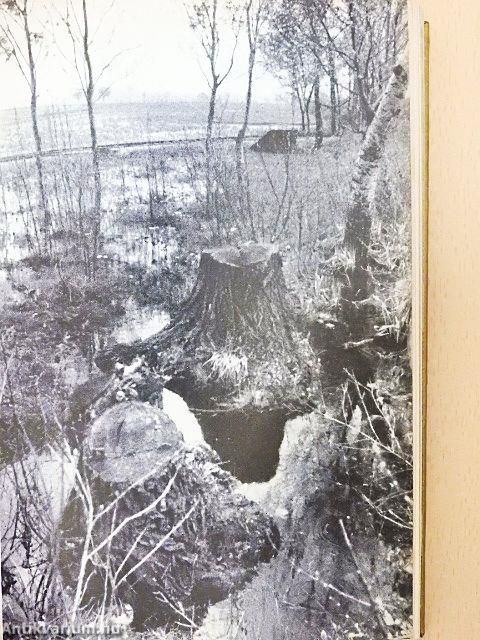 Virágkalendárium 1968