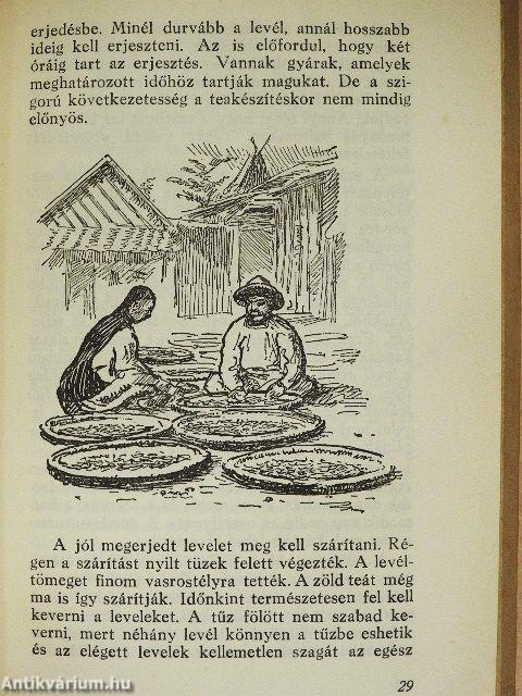 Kis séták a nagy természetben