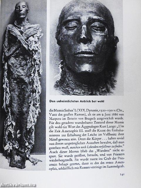 Götter Gräber und Geleherte im Bild