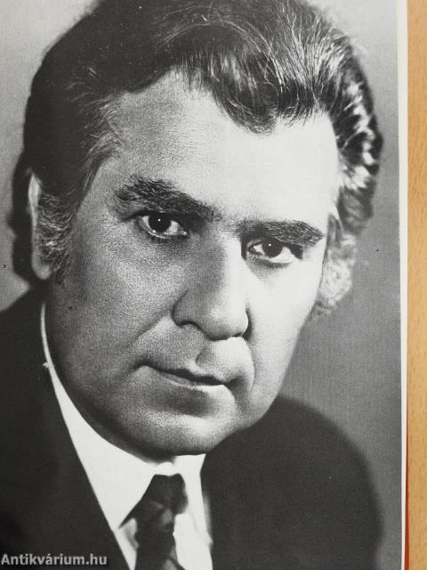 Naptollú vándor (dedikált példány)