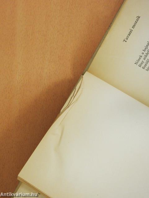 Sárkányok és tűzfák (dedikált példány)