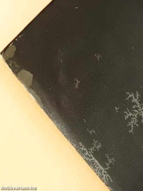 Így döntöttem (dedikált példány)