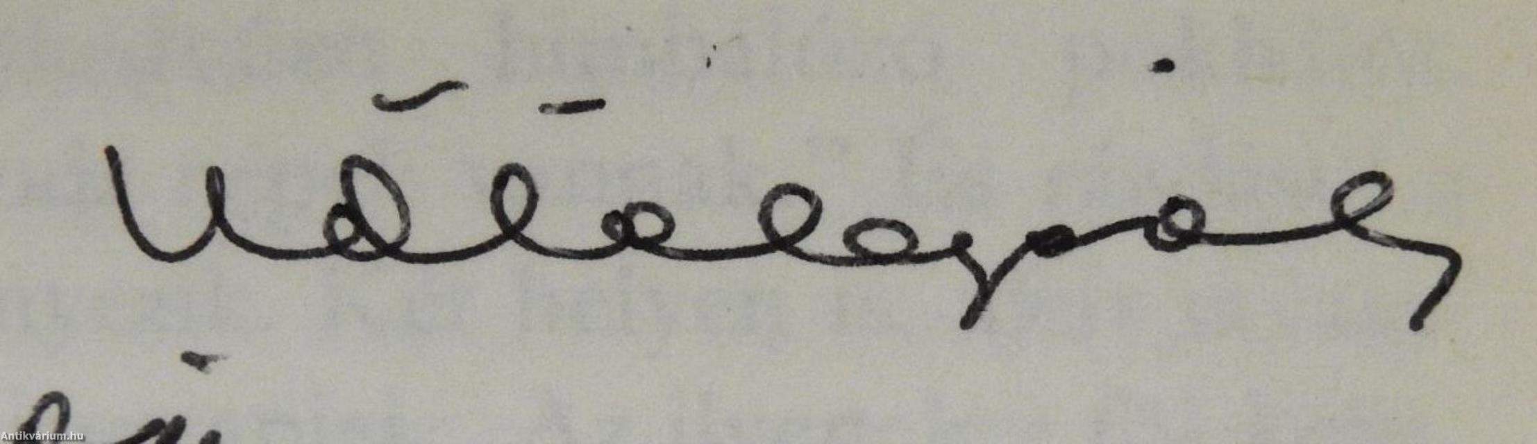 Túl a falon (dedikált példány)