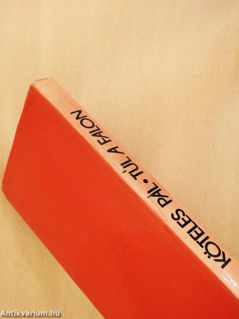 Túl a falon (dedikált példány)