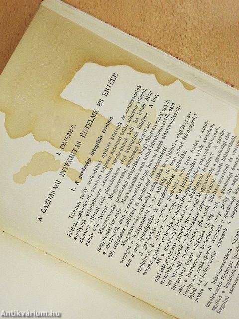 Magyarország gazdasági integritása