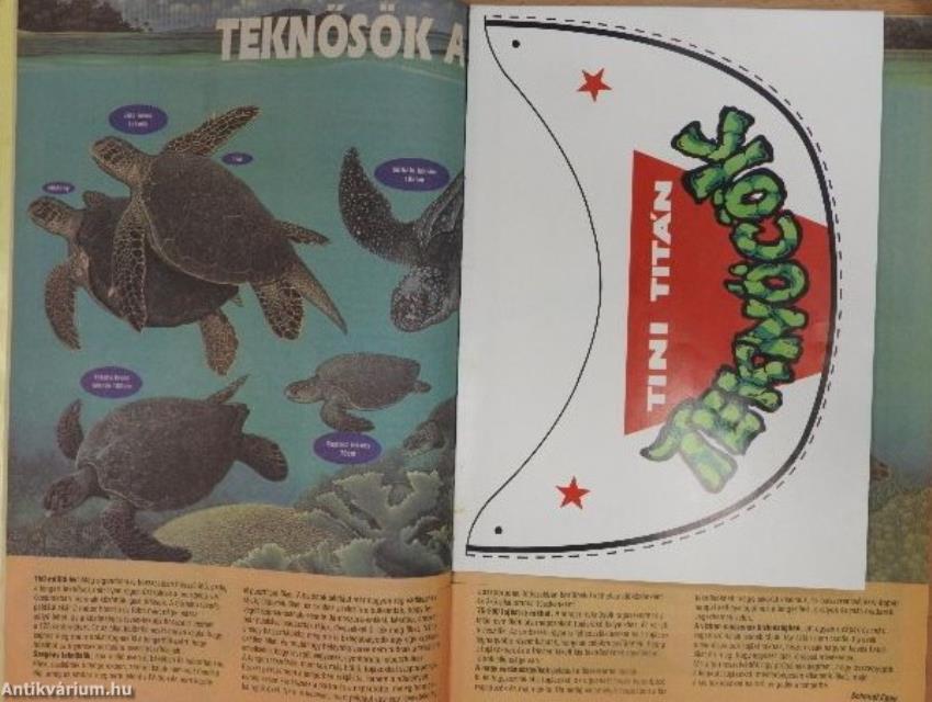 Tini Titán teknőcök 1994/3. május