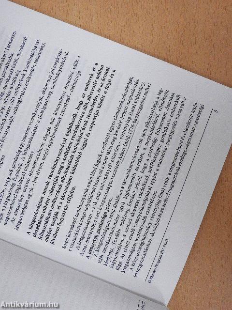 Közgazdaságtani bevezetés