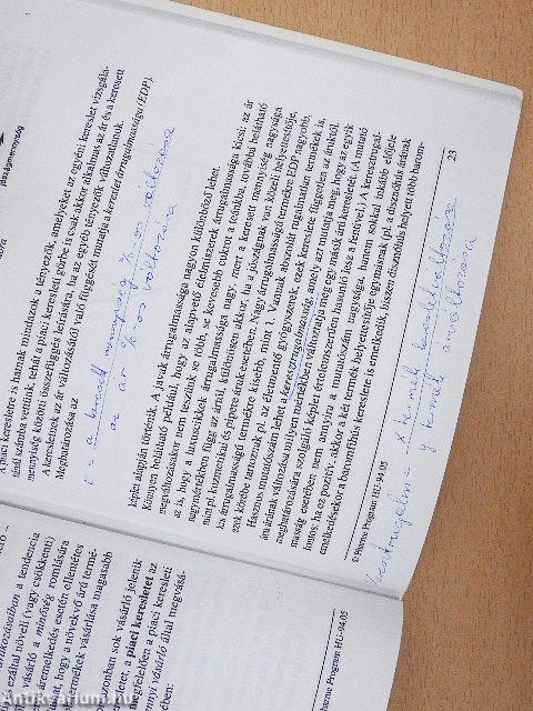 Közgazdaságtani bevezetés