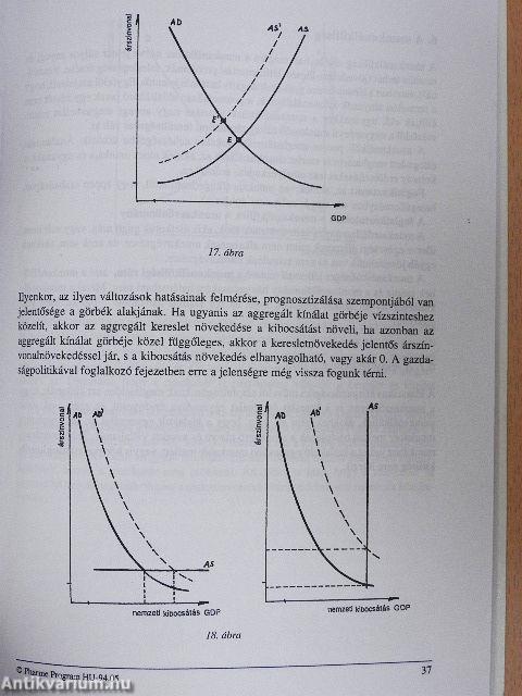 Közgazdaságtani bevezetés