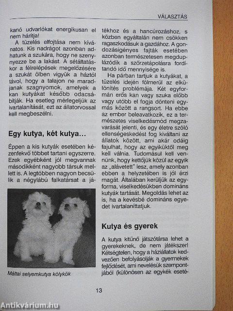 Kis termetű kutyák