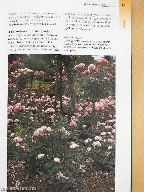 Növények metszése