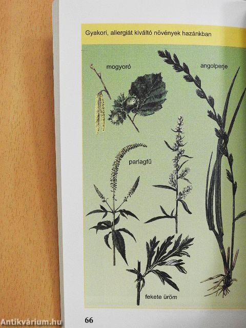 Allergia - öröklődés - megelőzés