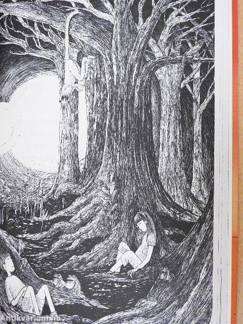 Kitka Bence Madagaszkáron