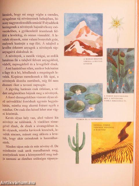 Az élet útja a Földön