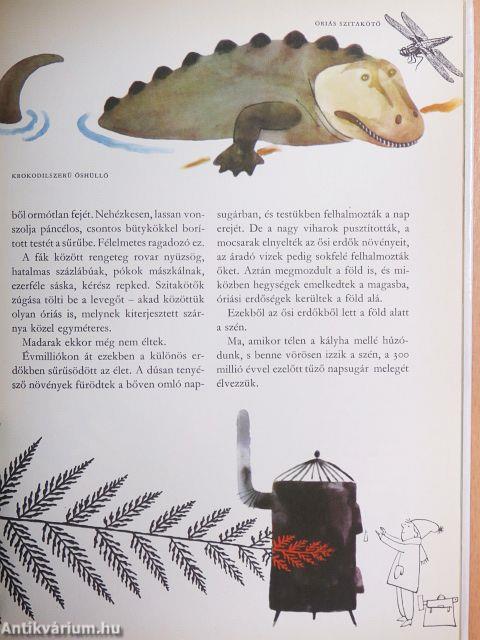 Az élet útja a Földön