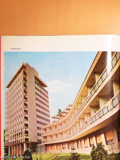 Új Debrecen született