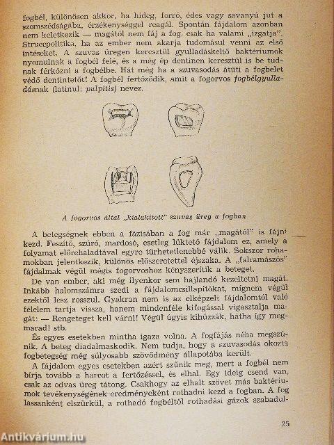 A fogak és betegségeik