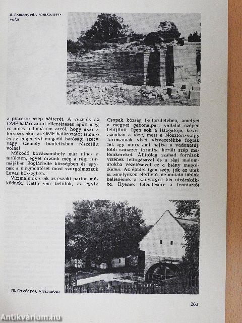 Műemlékvédelem 1985/4.