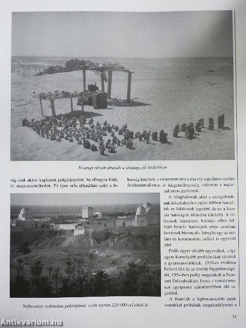 A déli jégvilág