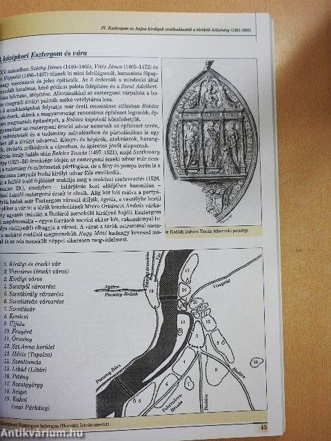 Szent István városa - Esztergom története