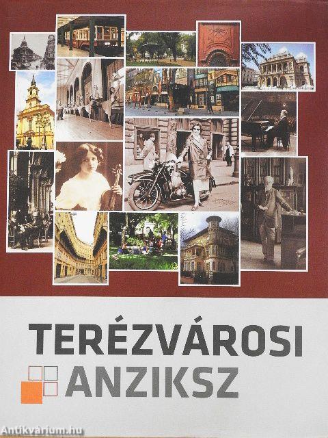 Terézvárosi anziksz
