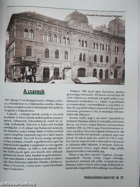 Terézvárosi anziksz