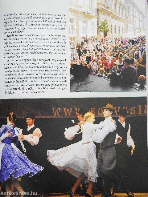 Terézvárosi anziksz