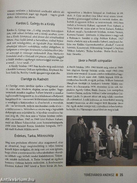 Terézvárosi anziksz