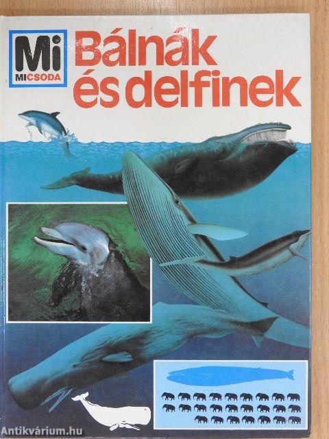 Bálnák és delfinek