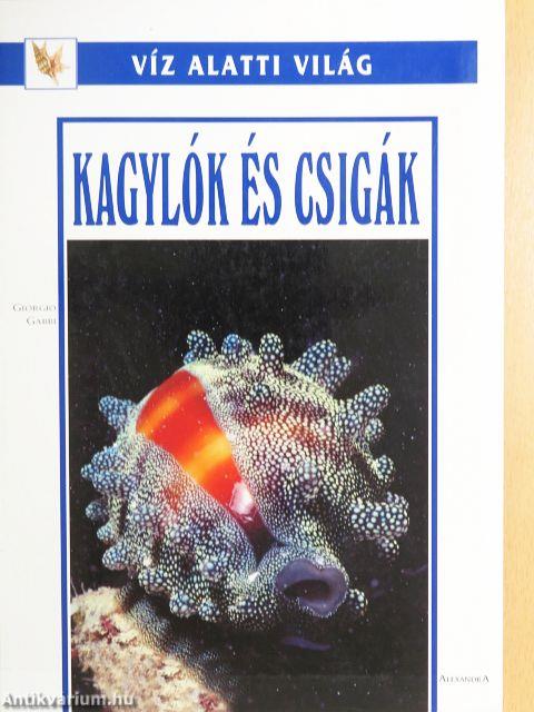 Kagylók és csigák