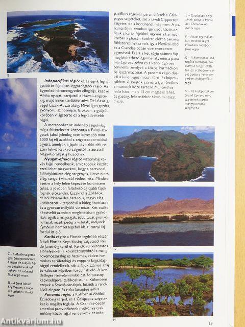 Kagylók és csigák