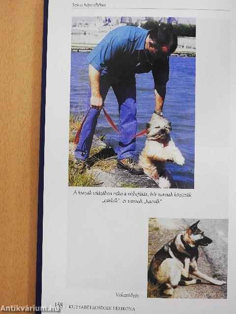 Kutyabetegségek lexikona