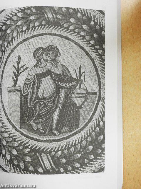 Latin nyelvkönyv IV.