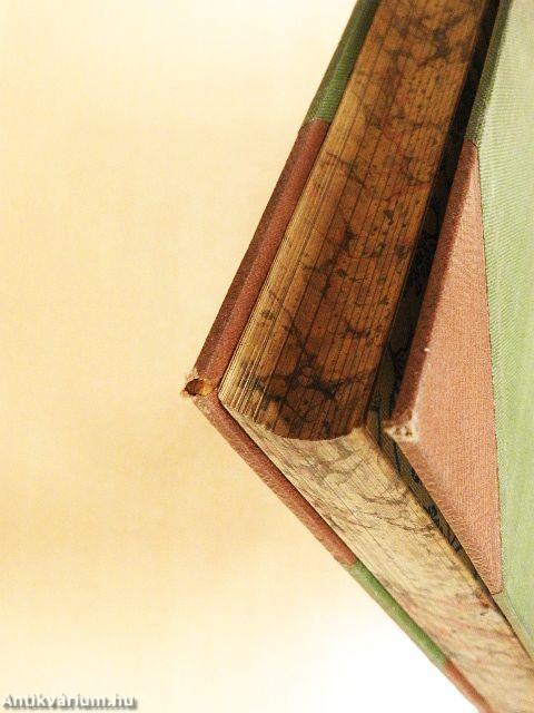 Természettudományi Közlöny 1881. január-december