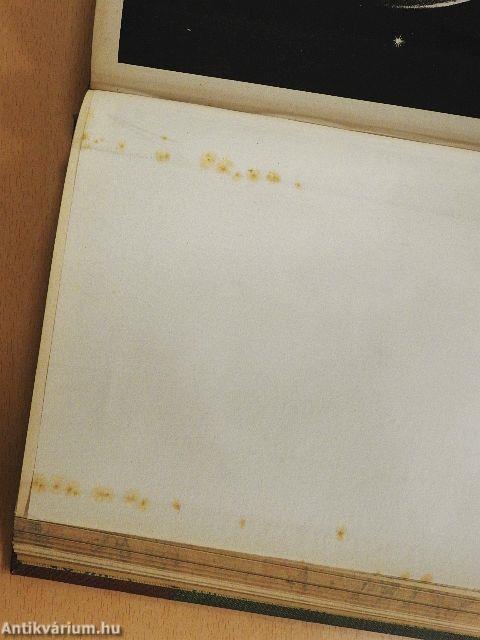 Természettudományi Közlöny 1881. január-december