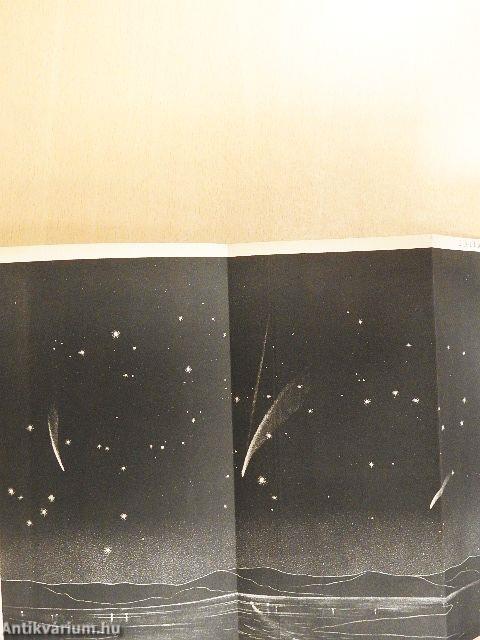 Természettudományi Közlöny 1881. január-december