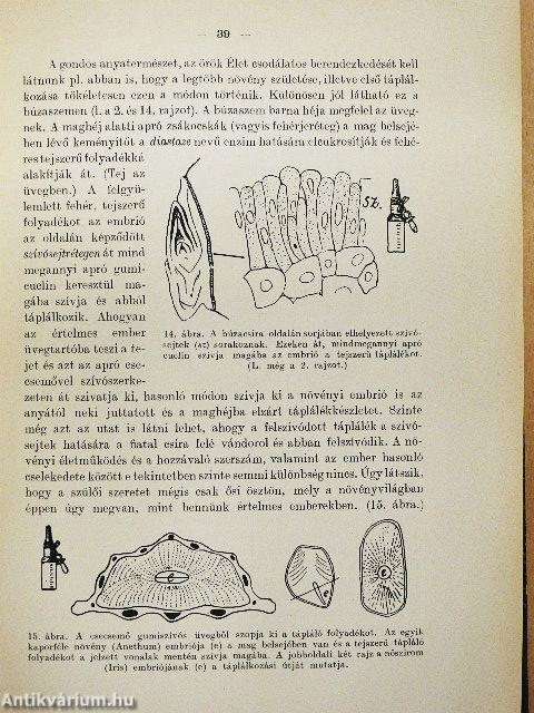 A növények csodálatos élete