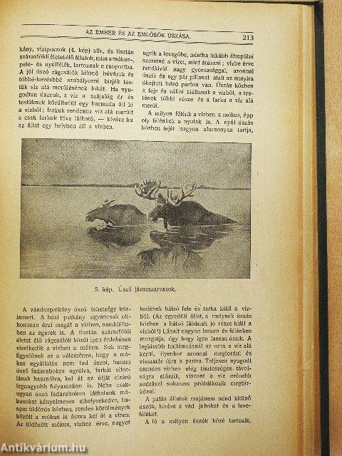 Természettudományi Közlöny 1922. január-deczember/Pótfüzetek a Természettudományi Közlönyhöz 1922. január-deczember