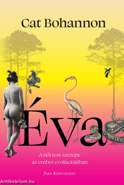 Éva