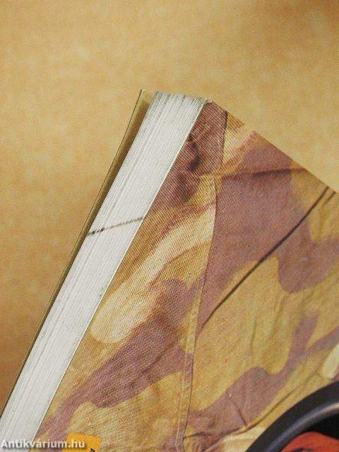 Fogyatékosok a társadalomban