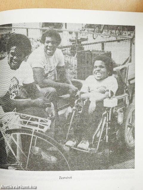 Fogyatékosok a társadalomban