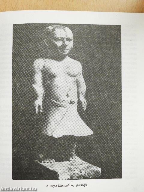 Fogyatékosok a társadalomban